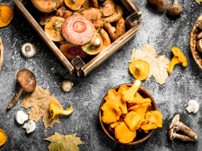 Myco Fractal/The Mushroom Source Mushrooms Santa Barbara, California