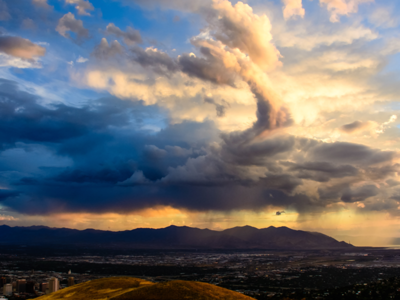 Myco Alchemy Mushrooms Lake Elsinore, California